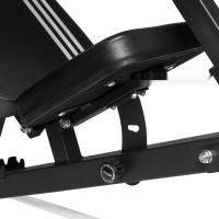 Силовая скамья Alpin Champion G-17