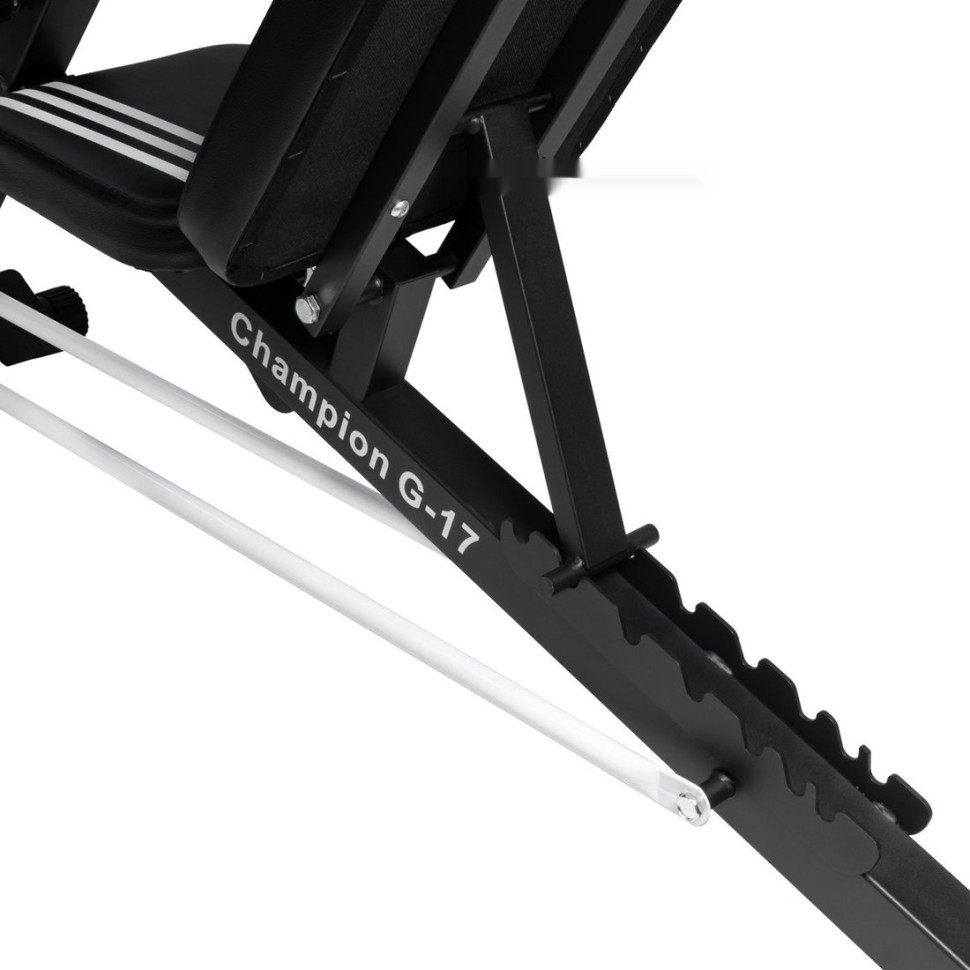 Силовая скамья Alpin Champion G-17