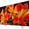 Телевизор Sony KD-49XF8596
