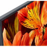 Телевизор Sony KD-49XF8596