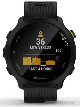 Умные часы Garmin Forerunner 55 (черный)