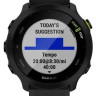 Умные часы Garmin Forerunner 55 (черный)