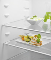 Холодильник Electrolux LNS5LE18S