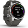 Умные часы Garmin Fenix 7S Pro Solar (серебро/графит)