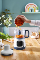 Блендер Moulinex Yummy Gourmet DD55W110