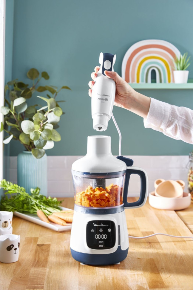 Блендер Moulinex Yummy Gourmet DD55W110