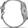 Умные часы Garmin Venu 2 Plus (серебристый/серый)