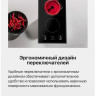 Варочная панель Hansa BHCS38120030