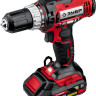 Дрель-шуруповерт ЗУБР Мастер ДШЛ-145-22 (с 2-мя АКБ, кейс) Дрель-шуруповерт ЗУБР Мастер ДШЛ-145-22 (с 2-мя АКБ, кейс)