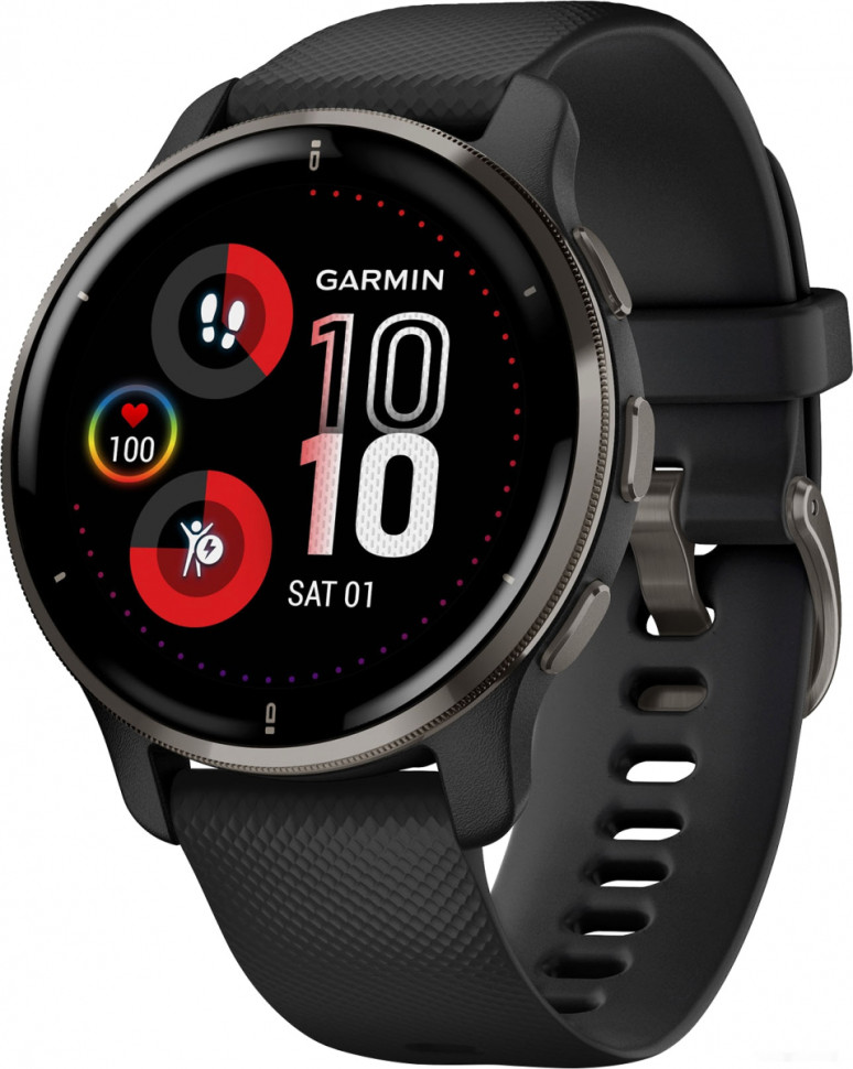Умные часы Garmin Venu 2 Plus (черный)