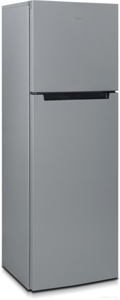 Холодильник Бирюса M6039 Холодильник Бирюса M6039