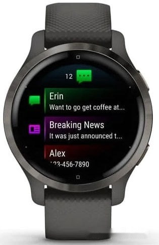 Умные часы Garmin Venu 2S (сланцевая нержавеющая сталь/черный)