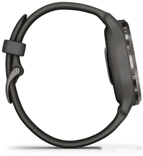 Умные часы Garmin Venu 2S (сланцевая нержавеющая сталь/черный)
