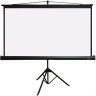 Проекционный экран PL Magna MW TRM-HD-101D Проекционный экран PL Magna MW TRM-HD-101D