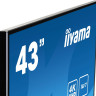 Информационная панель IIYAMA LE4340UHS-B1