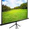 Проекционный экран Cactus TriExpert 150x200 CS-PSTE-200X150-BK