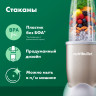 Блендер NutriBullet Pro NB908CP